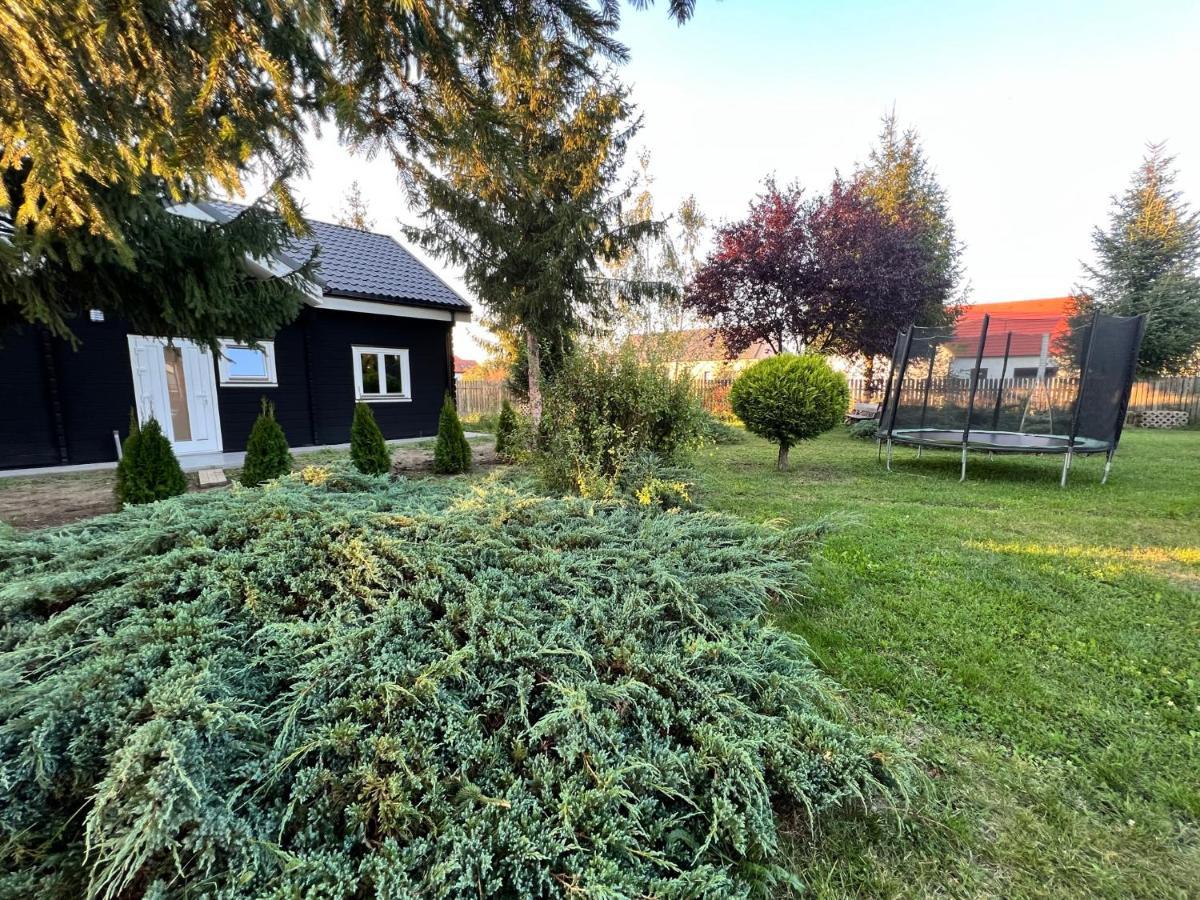 Vila Scandinavia Sîngeorgiu de Mureş Εξωτερικό φωτογραφία