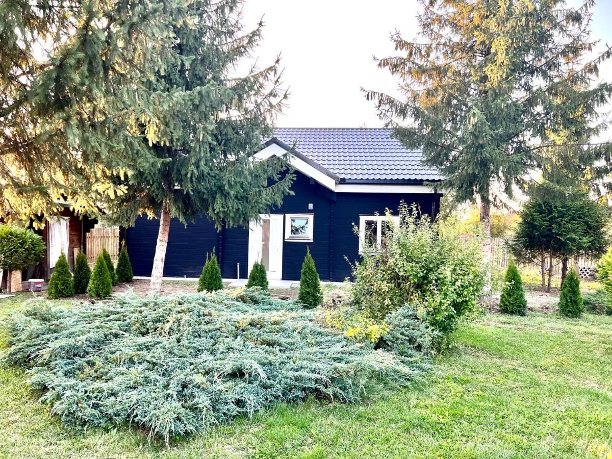 Vila Scandinavia Sîngeorgiu de Mureş Εξωτερικό φωτογραφία